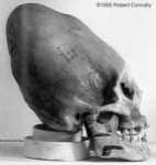 Un cráneo en forma de cono encontrada en Paracas / Perú